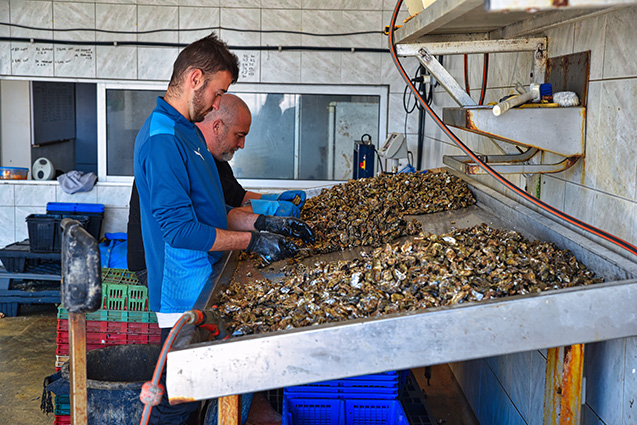 Sin acuerdo en la negociación en el SIMA del Convenio Estatal de Productos Elaborados del Mar